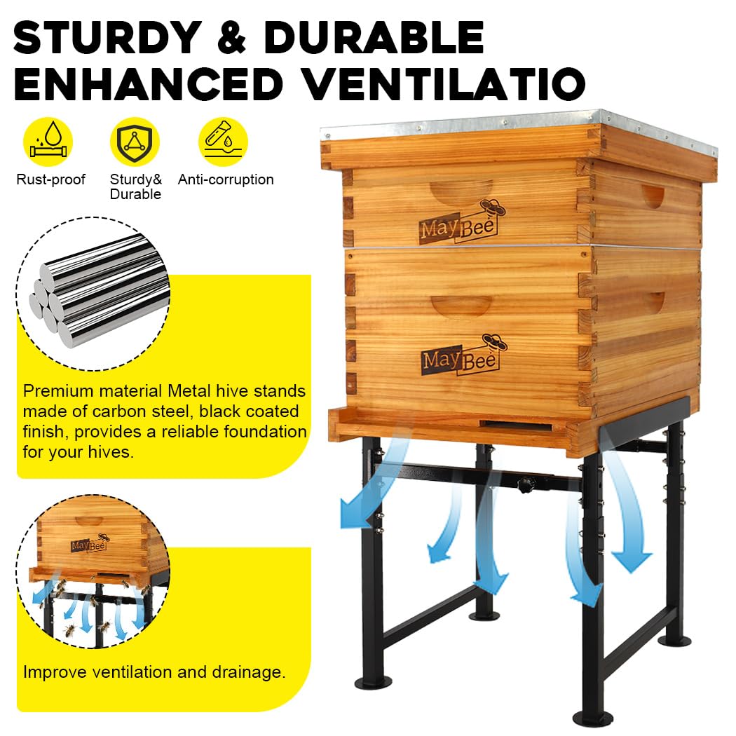 MayBee hive stand angled setup demonstrates improved ventilation for healthier colonies.