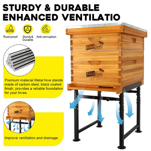 MayBee hive stand angled setup demonstrates improved ventilation for healthier colonies.