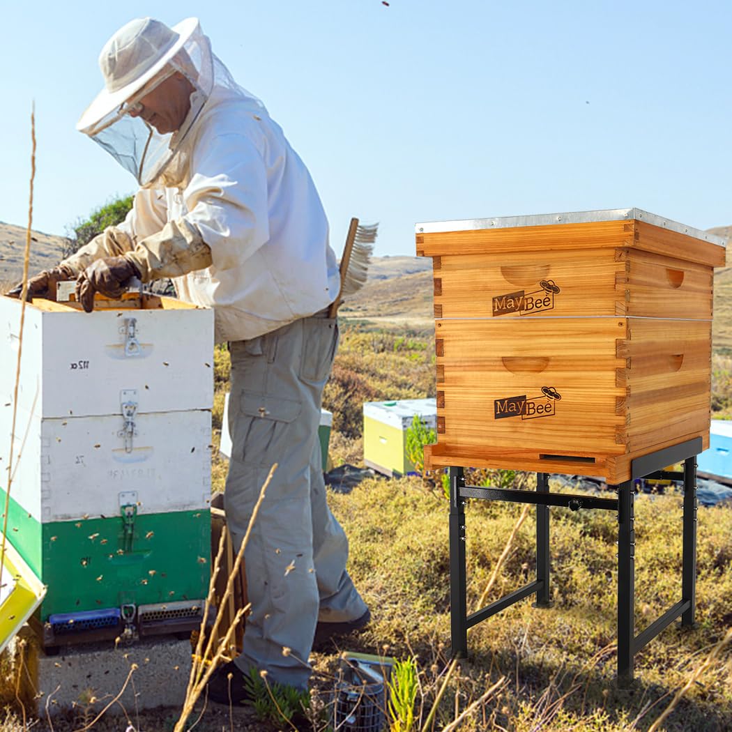 MayBee hive stand assembly in progress highlights quick 20 minute setup.