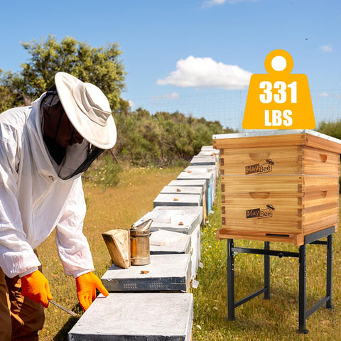 MayBee hive stand width adjustment accommodates 8- and 10-frame hives with solid support.