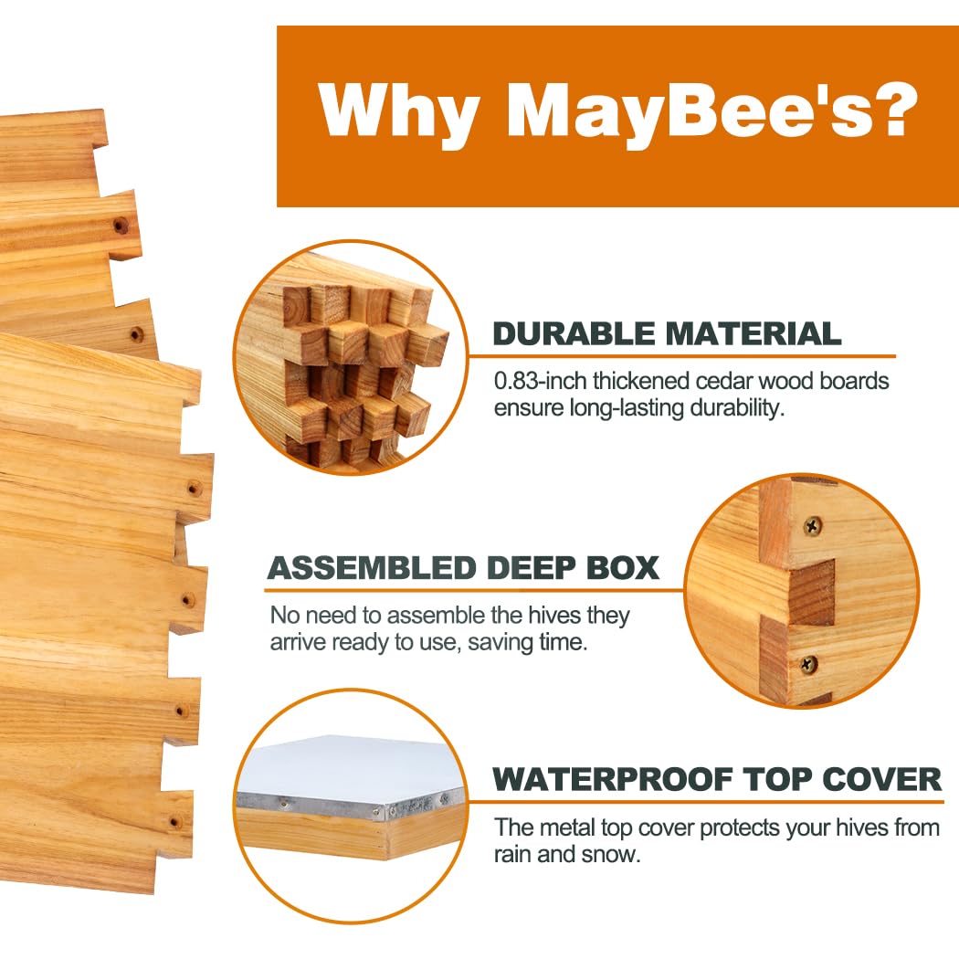 MayBee assembled deep brood box with cover ready for setup