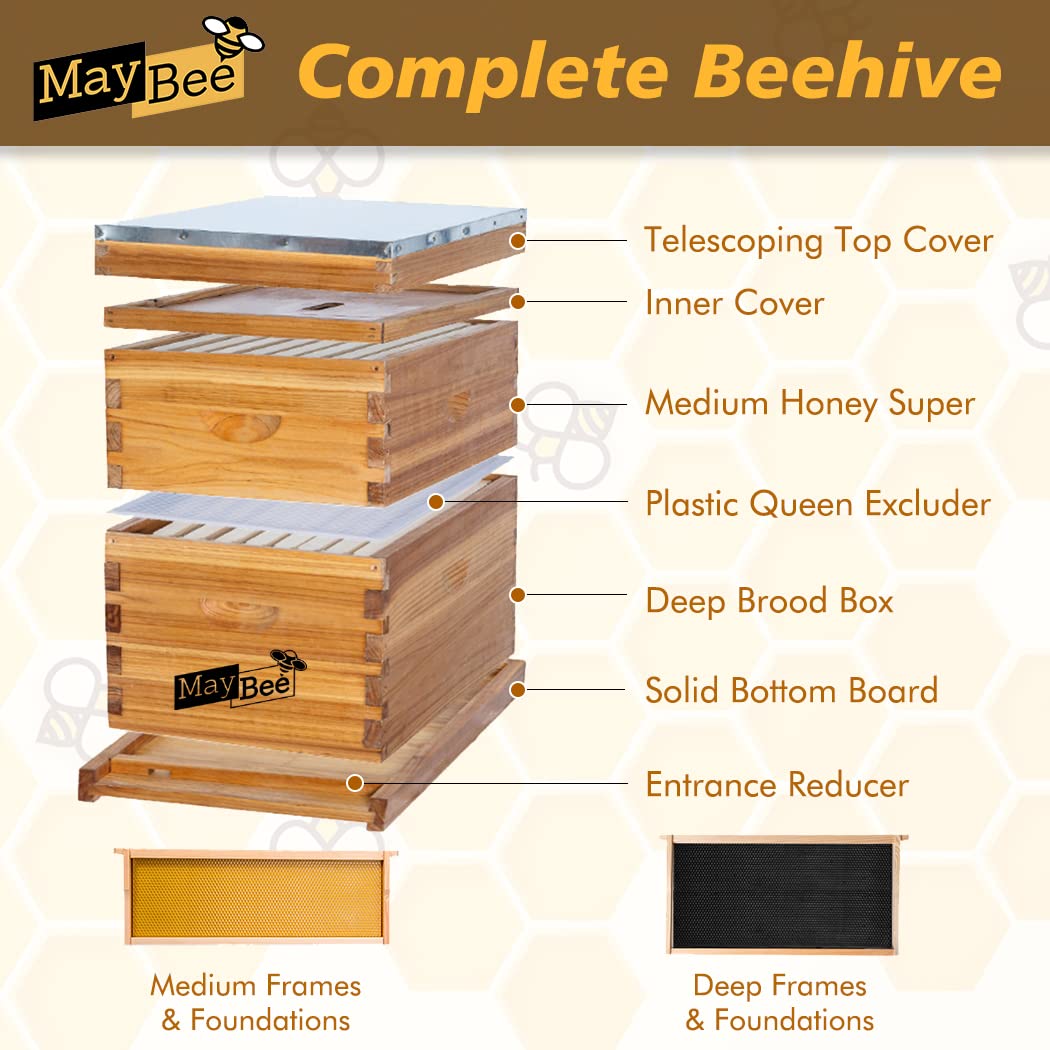 MayBee beehive top cover shows waterproof protection for interior