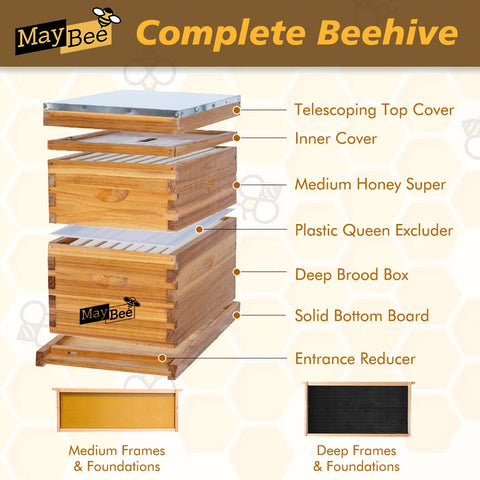 MayBee beehive top cover shows waterproof protection for interior