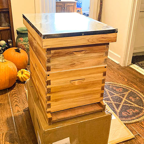 Detachable bottom board with vents improves ventilation and makes cleaning easier