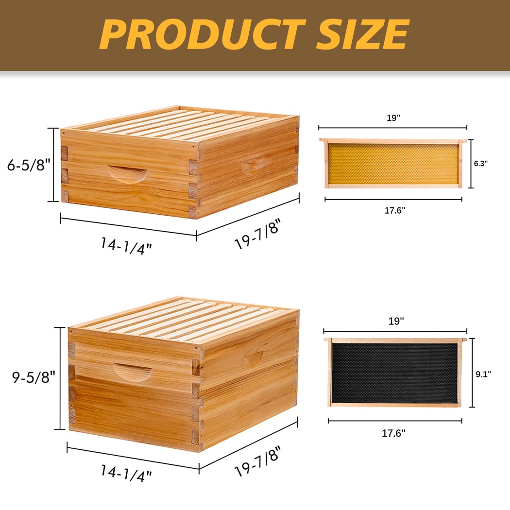 Sturdy cedarwood construction of MayBee beehive