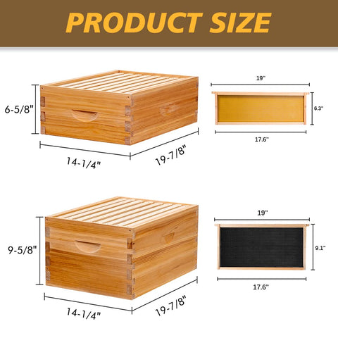 Sturdy cedarwood construction of MayBee beehive