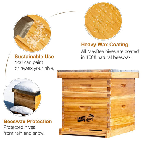Deep box with foundation in MayBee hive for brood space