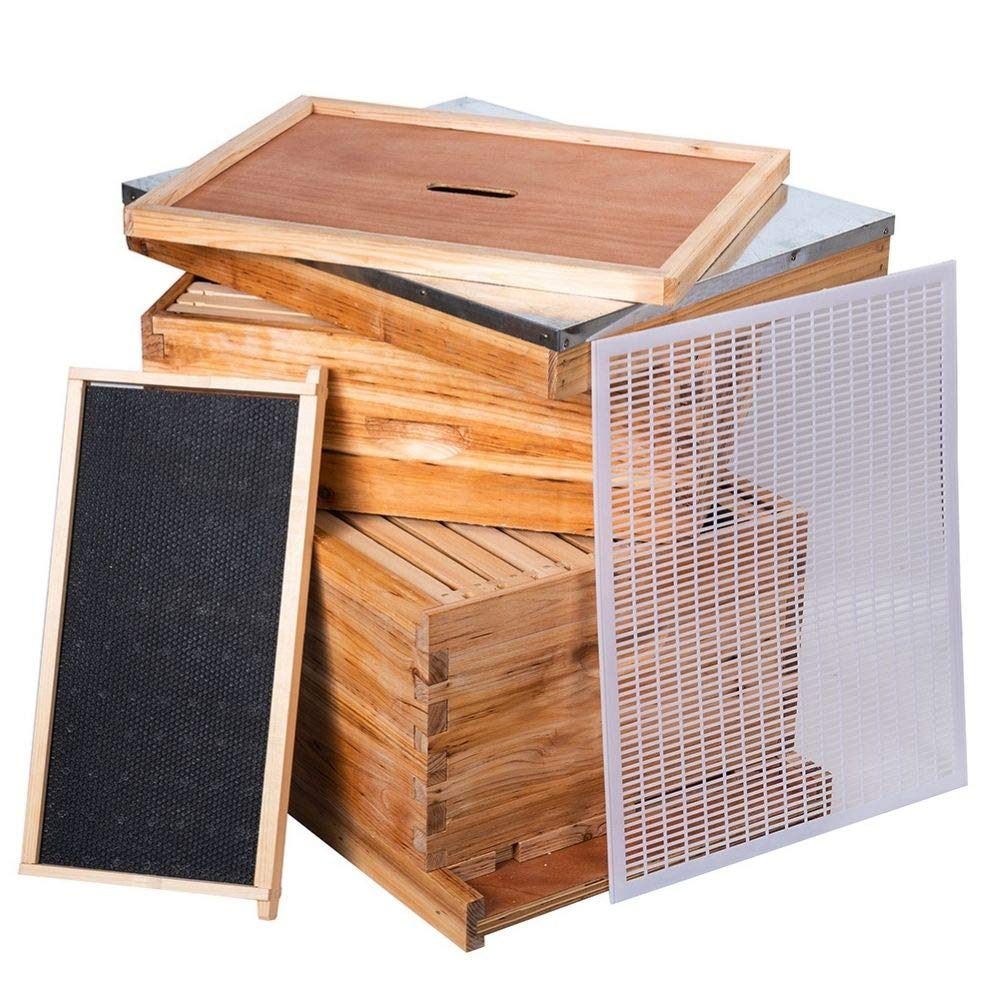 Detachable bottom board aids cleaning in MayBee hive