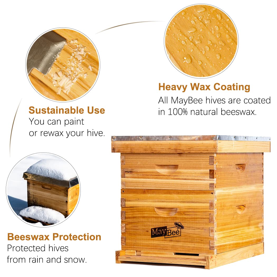Beeswaxed foundation frames from MayBee ensure safe frame installation