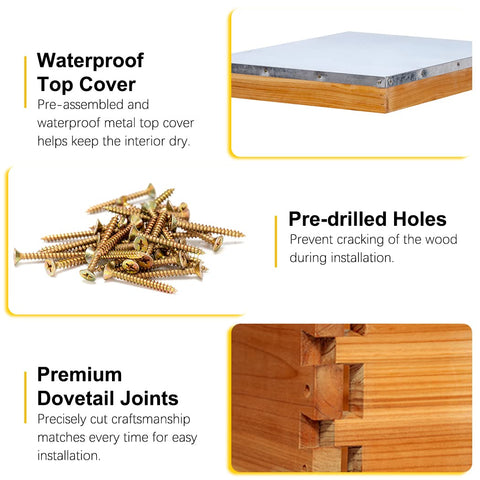 Medium box with foundation in MayBee hive for honey storage