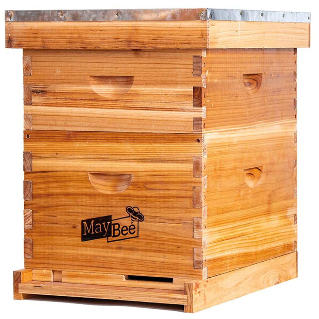 MayBee Beehive Starter Kit with deep brood box for beginner hive setup