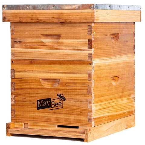 MayBee Beehive Starter Kit with deep brood box for beginner hive setup