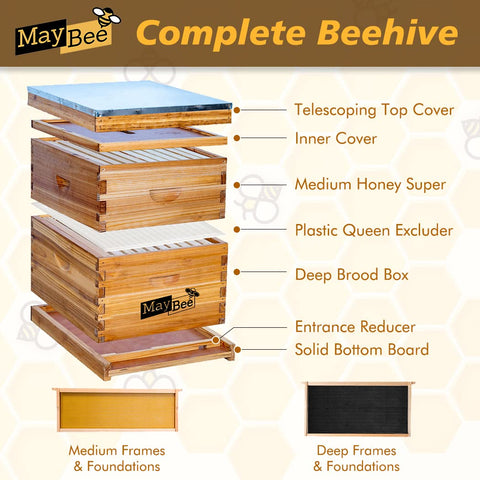 MayBee Beehive Starter Kit with super box ready to expand colonies