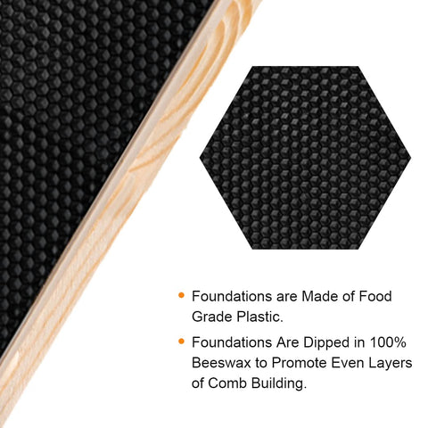 MayBee beeswax-coated foundations provide natural guidance for comb growth.