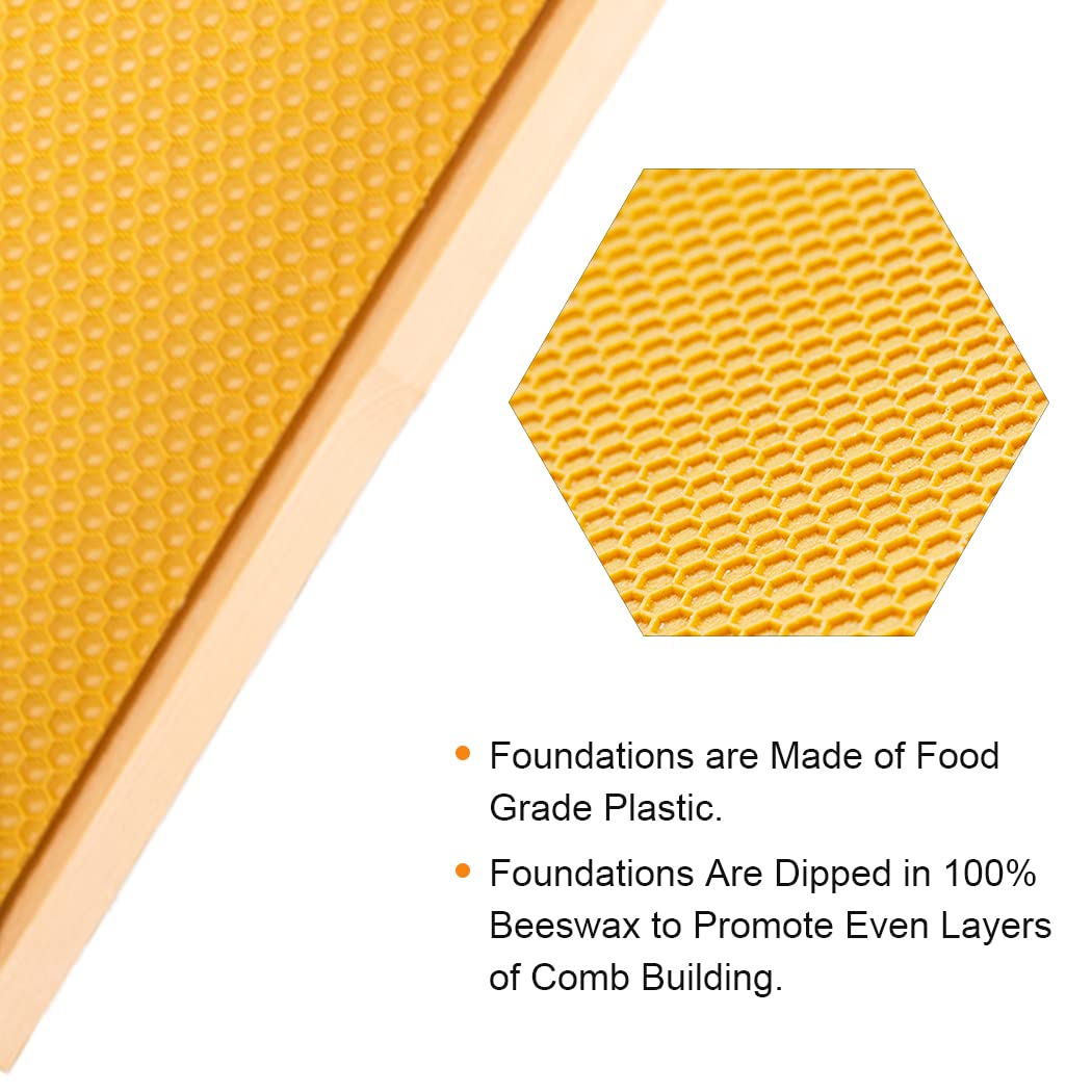 MayBee frames with beeswax-coated foundation promote natural comb building.