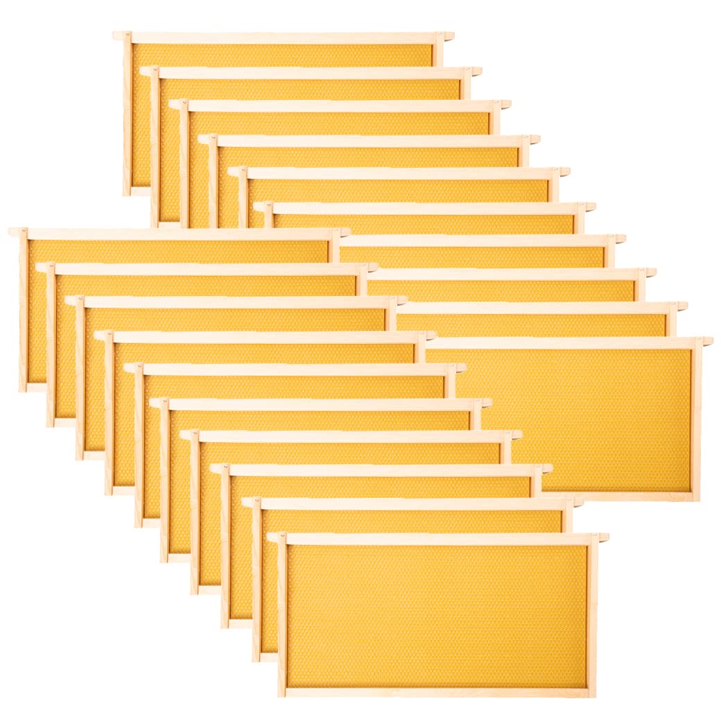 MayBee deep beehive frame 9-1/8 inch yellow for efficient brood building
