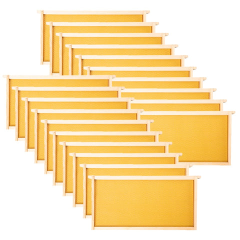 MayBee deep beehive frame 9-1/8 inch yellow for efficient brood building