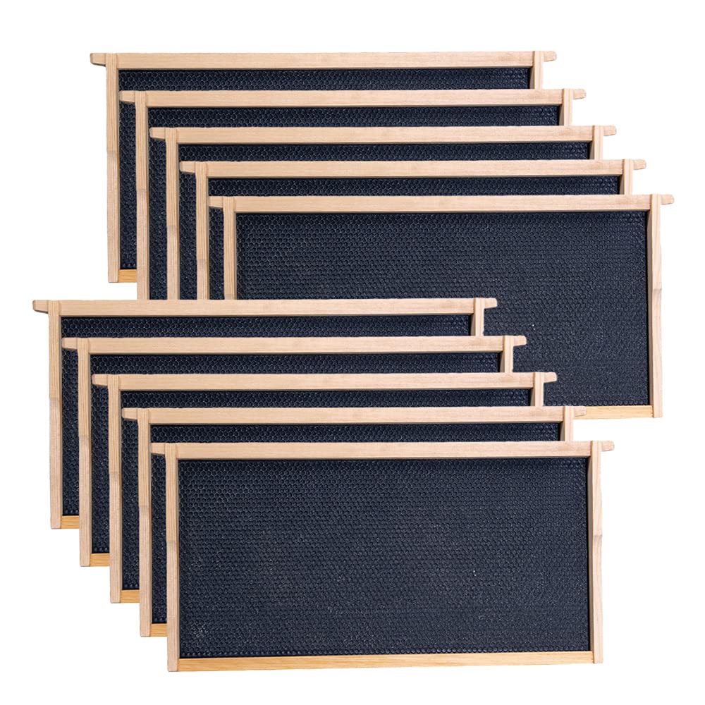 MayBee deep brood frames 10-pack ready for efficient hive expansion