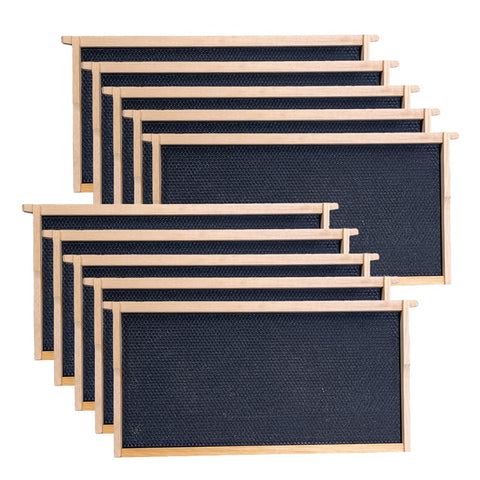 MayBee deep brood frames 10-pack ready for efficient hive expansion