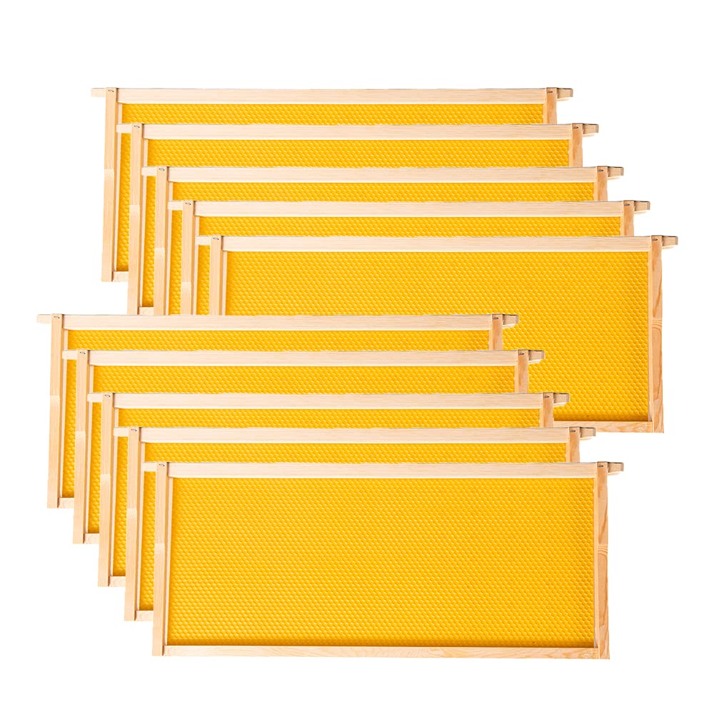 MayBee deep brood frames with wooden frame for sturdy hive setup.
