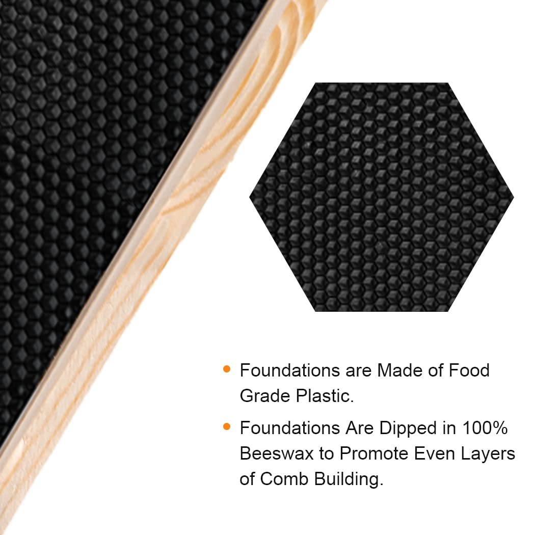 MayBee beehive with dovetail joints for a durable assembly.