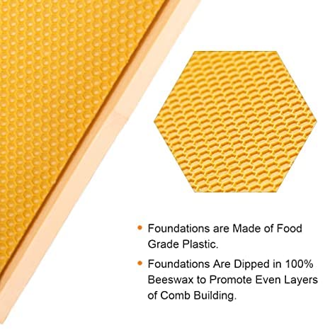 MayBee medium super with high-quality dovetail joints for secure assembly.