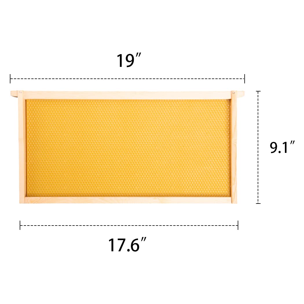MayBee food-grade foundation dipped in beeswax supports easy comb formation.