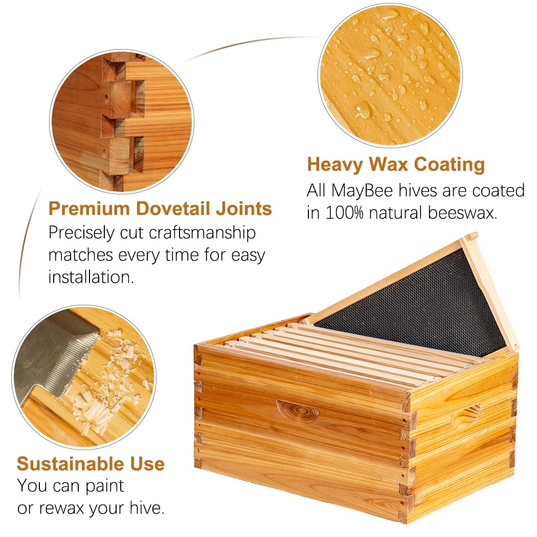 MayBee hive box showing heavy beeswax coating for protection.