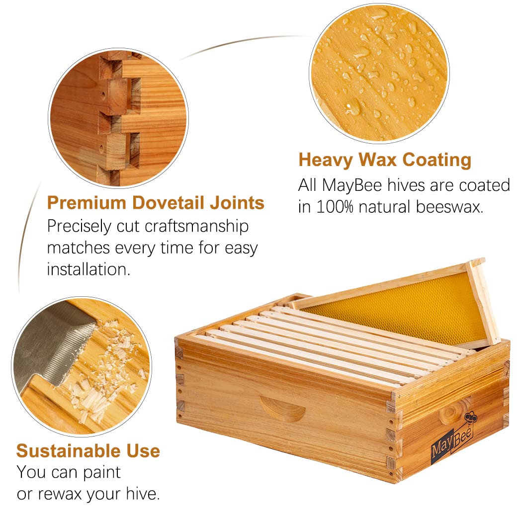 MayBee wax-dipped foundations for sturdy comb building and debris visibility.
