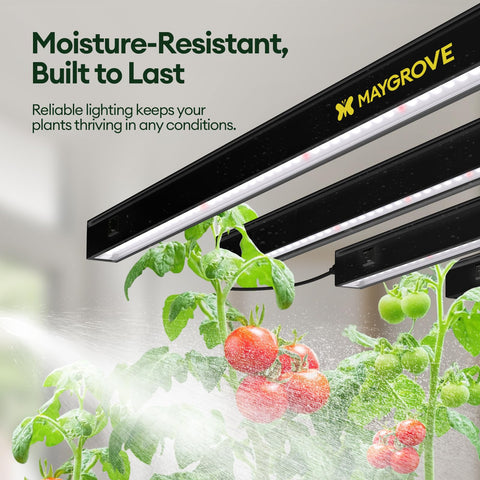 Maygrove T5 28W total power for efficient plant coverage.