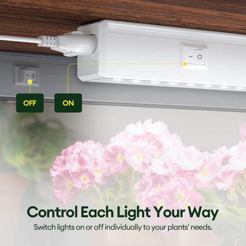 Maygrove T5 Grow Light daisy-chain setup for scalable shelf lighting