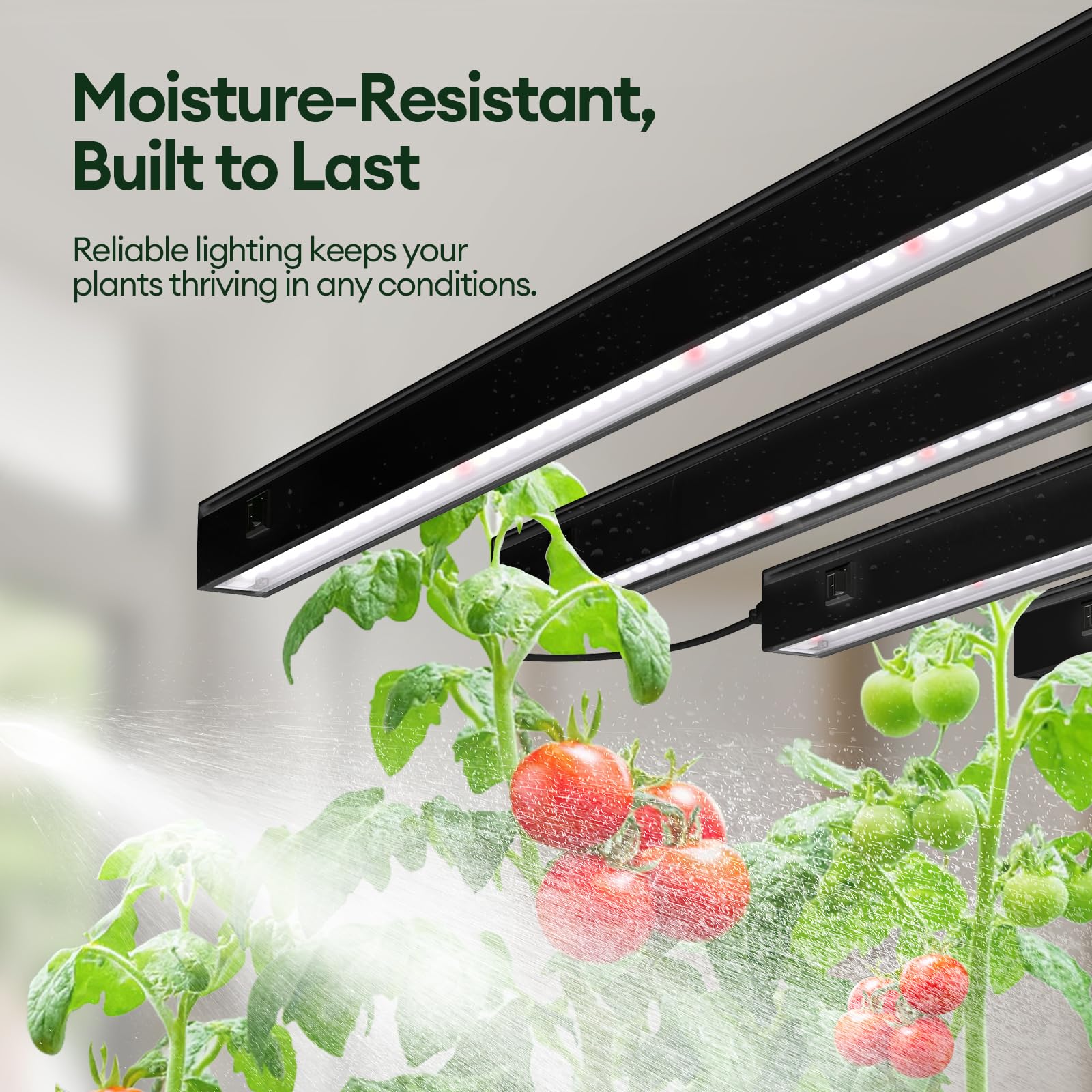 Maygrove T5 individual switches let you tailor lighting per strip.