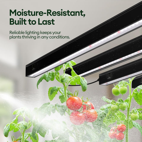 Maygrove T5 individual switches let you tailor lighting per strip.