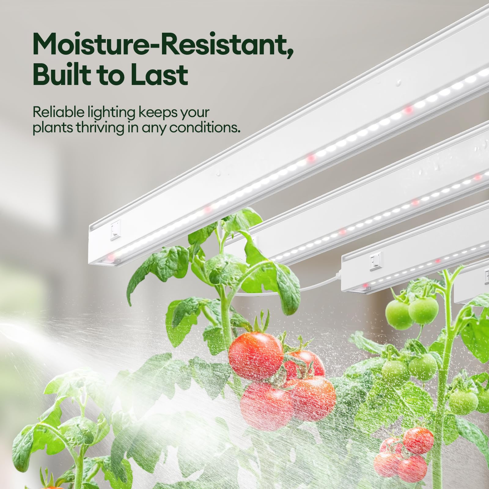 Maygrove T5 features individual on/off switches for precise light control.