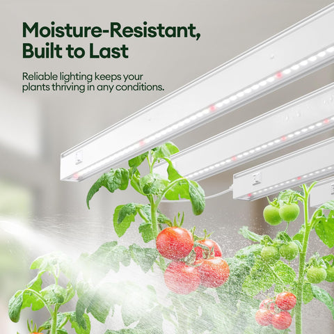 Maygrove T5 features individual on/off switches for precise light control.