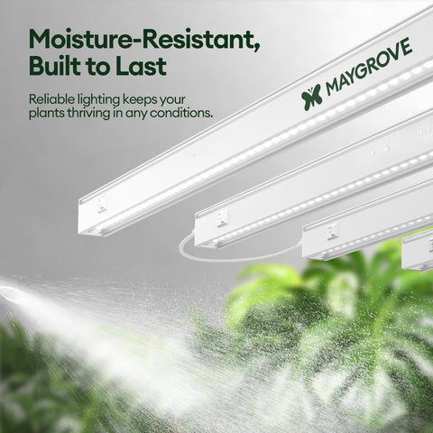 Maygrove T5 IP63 protection helps durability in humid spaces.