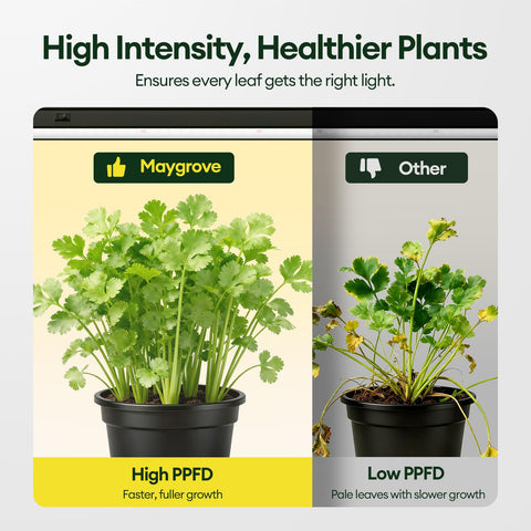 Maygrove T5 PPFD coverage delivers targeted light for vigorous plant development.