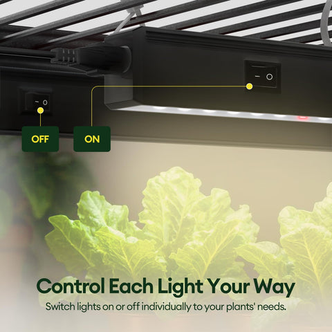 Maygrove T5 quick-clip mount enables flexible, tool-free installation.
