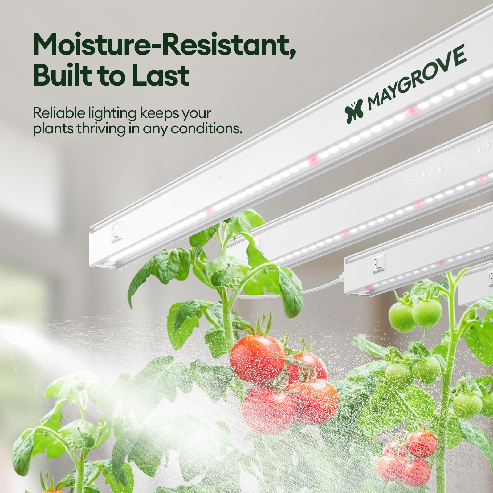 Maygrove T5 daisy-chain compatible lights for scalable setups