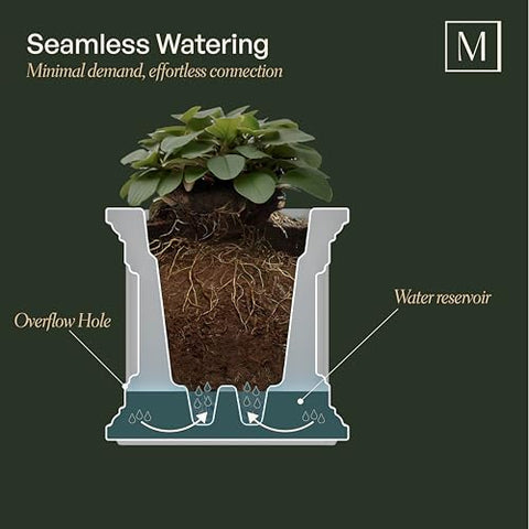 Mayne Fairfield planter displaying weather-resistant exterior on a sunny outdoor space