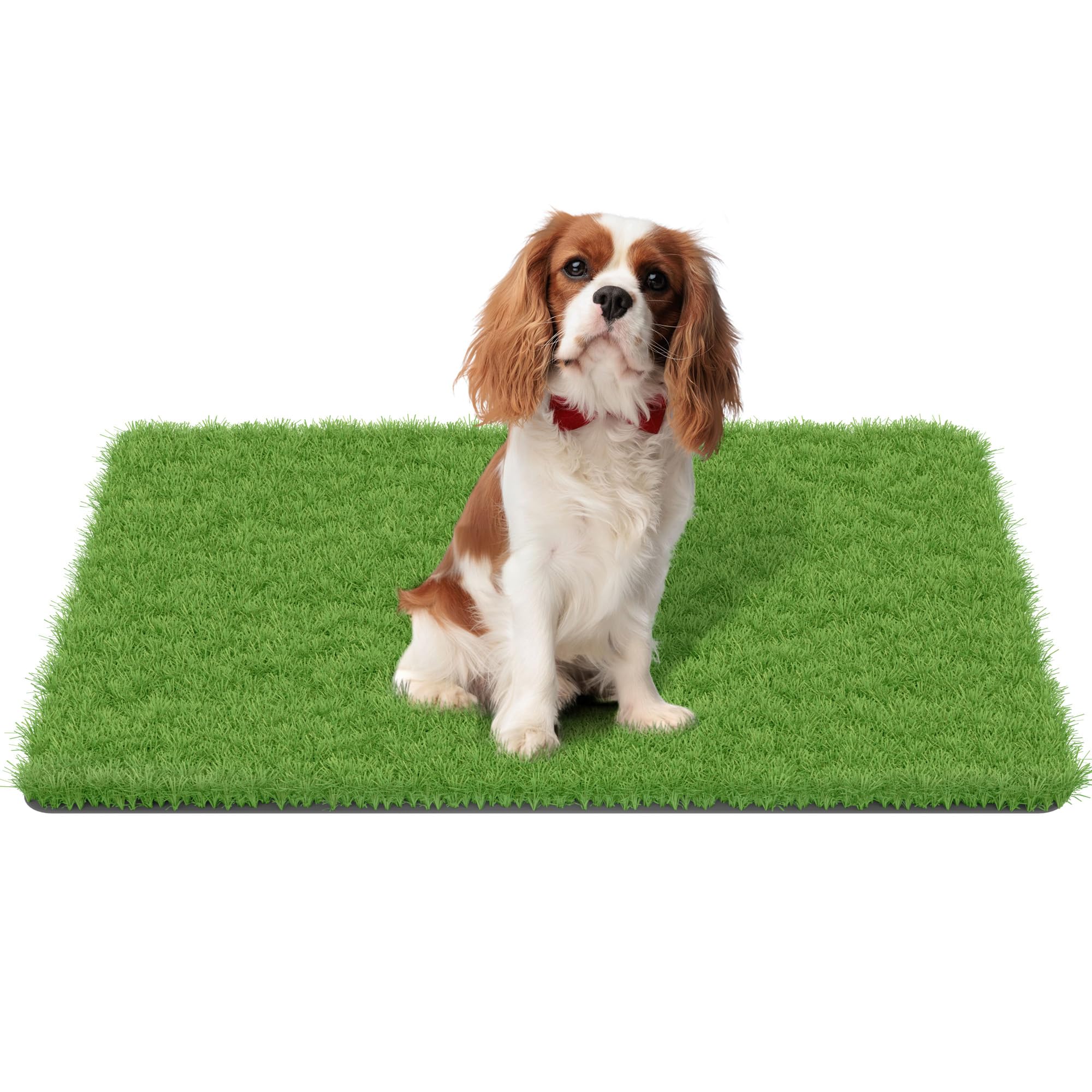 MAYSHINE dog astro turf with soft blades for indoor use and easy cleaning