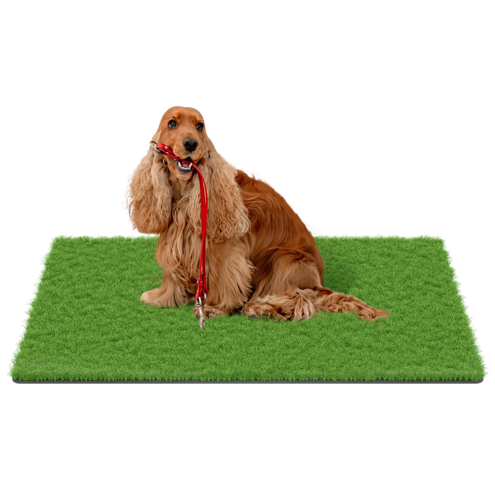 MAYSHINE fake grass for dogs for indoor-outdoor use with quick cleanup