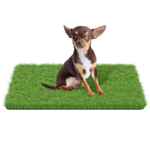 MAYSHINE fake grass for dogs, versatile for indoor and outdoor use, easy cleanup.