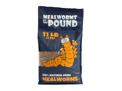 Mealworms by the Pound MBTP bulk 11 lb bag showcasing value and long supply.