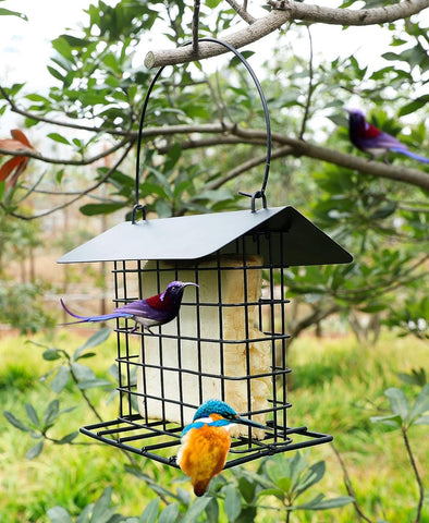 Mcage outdoor bird feeder scene highlights stable stand and simple maintenance.