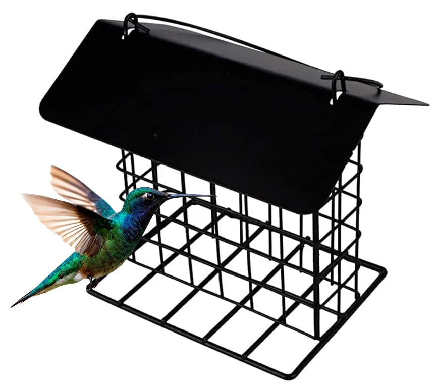 Mcage roof top feeder in garden showing weatherproof design for year-round birds.