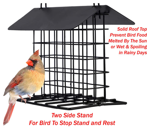 Mcage squirrel-proof feeder shot emphasizes sturdy metal construction deterring pests.