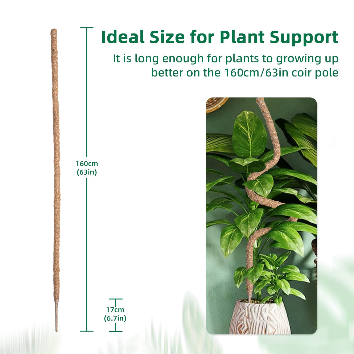 Mcbazel all-in-one kit includes rope straps and tape