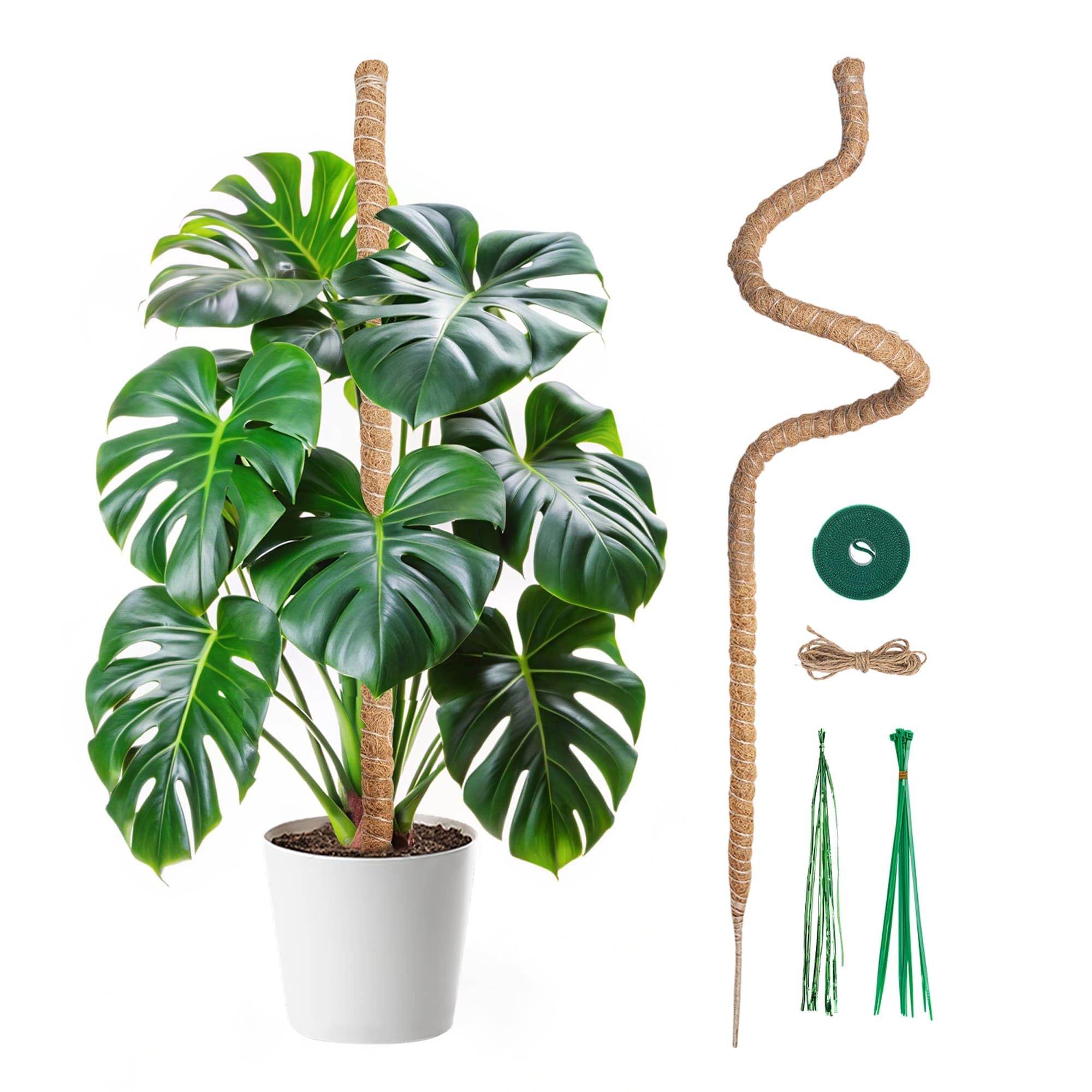 Mcbazel bendable moss pole 120cm supports Monstera growth with flexible shaping.