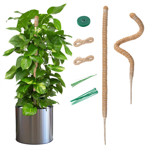 McBazel bendable moss pole with coco core provides flexible plant support